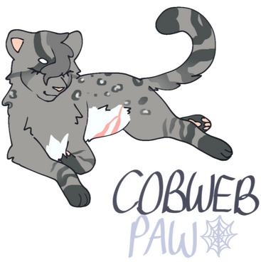 an image of cobwebpaw, who is a grey bengal cat with a white belly and a scar on her stomach. art by jani @/furrensic !!